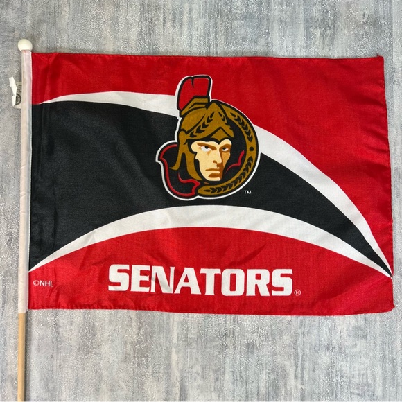 Vintage Ottawa Senators Mini Flag Rare 18”x12.5” NHL Hockey - Picture 1 of 6
